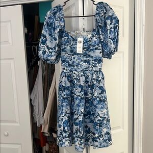 Abercrombie Floral Blue Dress with Puff Sleeves